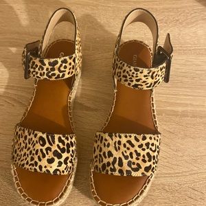 Cheetah print plant form sanded